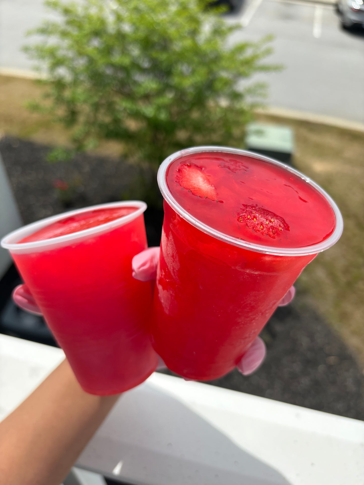 Cold Cups
